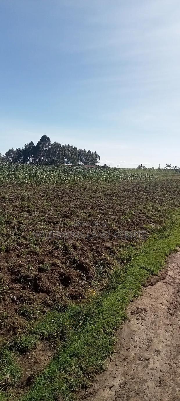 Land on Ihindu Naiva
