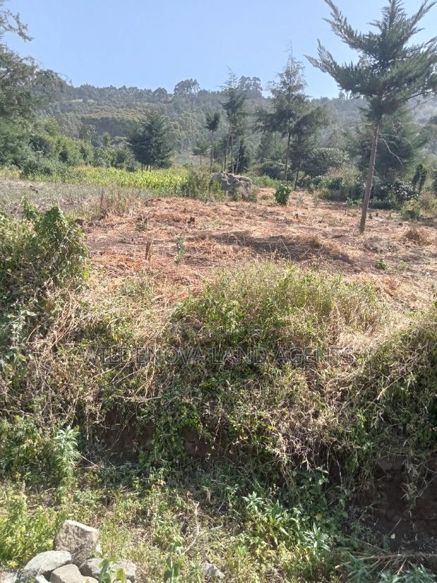 3 Acres of Land on Sale