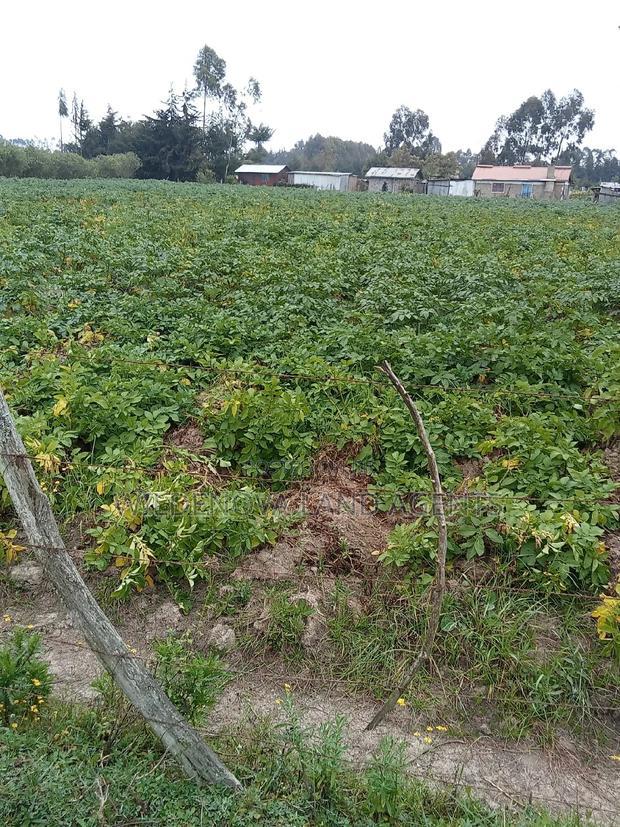 1 Acre on Sale at Mukiri Kwaharaka Kinangop