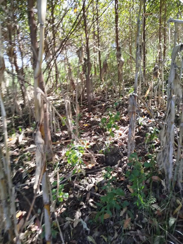 Land on Sale at Flyover Viewpoint Naivasha