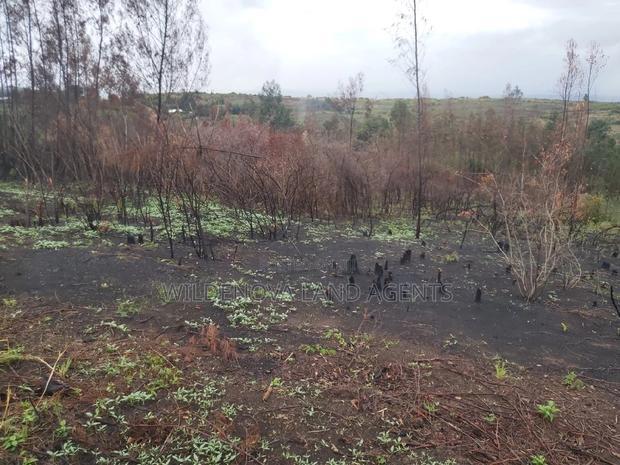 Land on Sale at Turasha Ririshua Kinangop