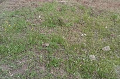 5 Acres on Sale at Kinangop Murungaru