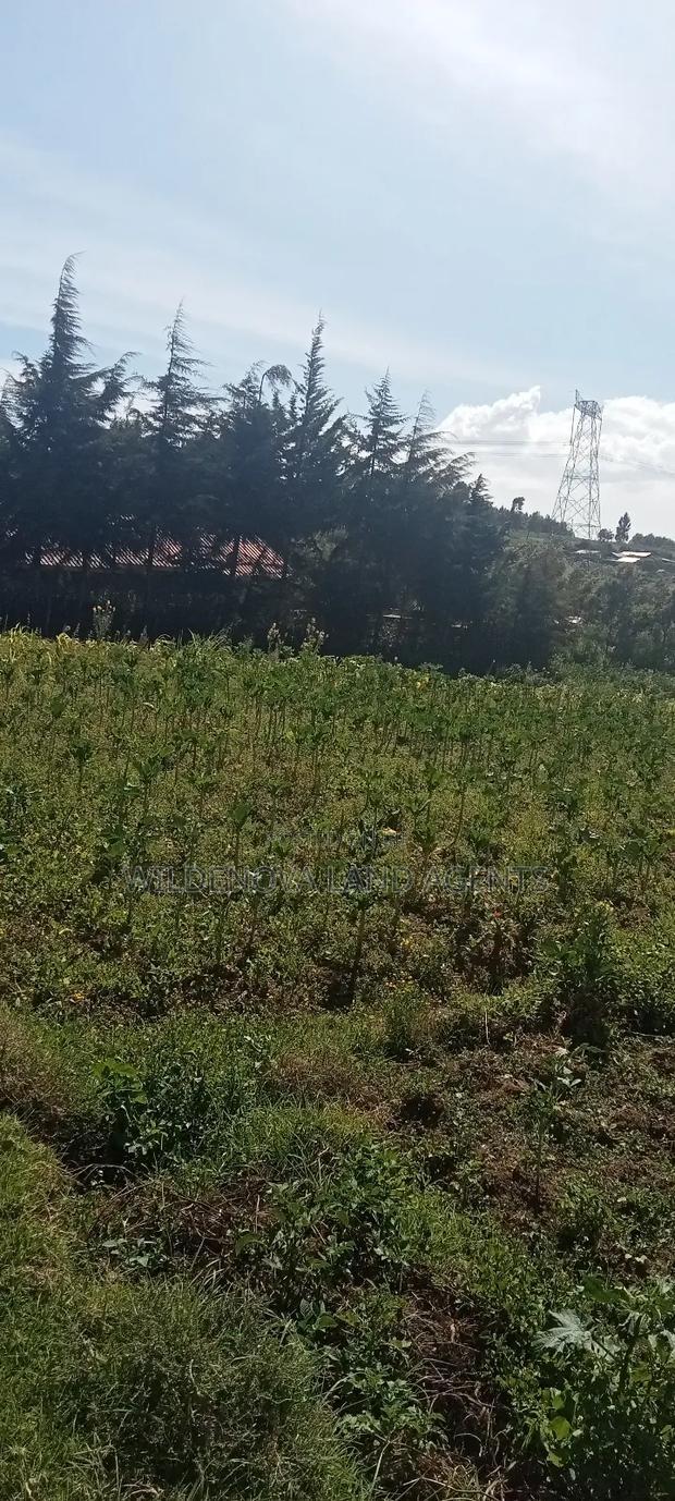 Land on Sale at Kinungi Naivasha