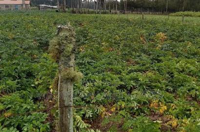 1 Acre on Sale at Mukiri Kwaharaka Kinangop