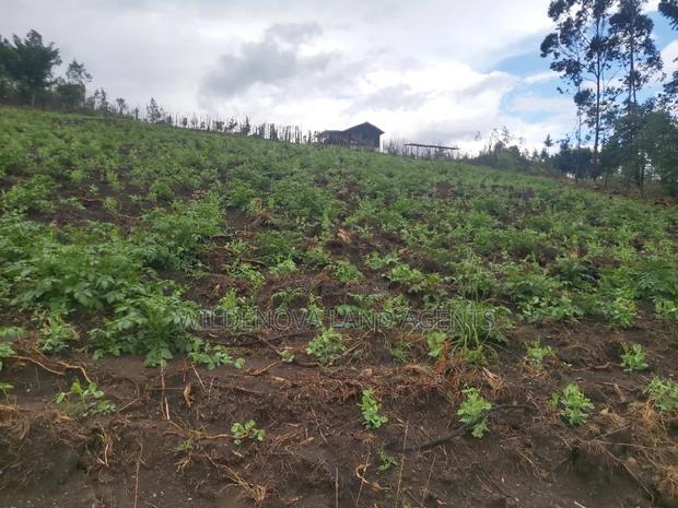 Land on Sale at Turasha Ririshua Kinangop