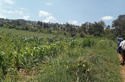 5 Acres on Sale at Kiabogo Longonot Naivasha