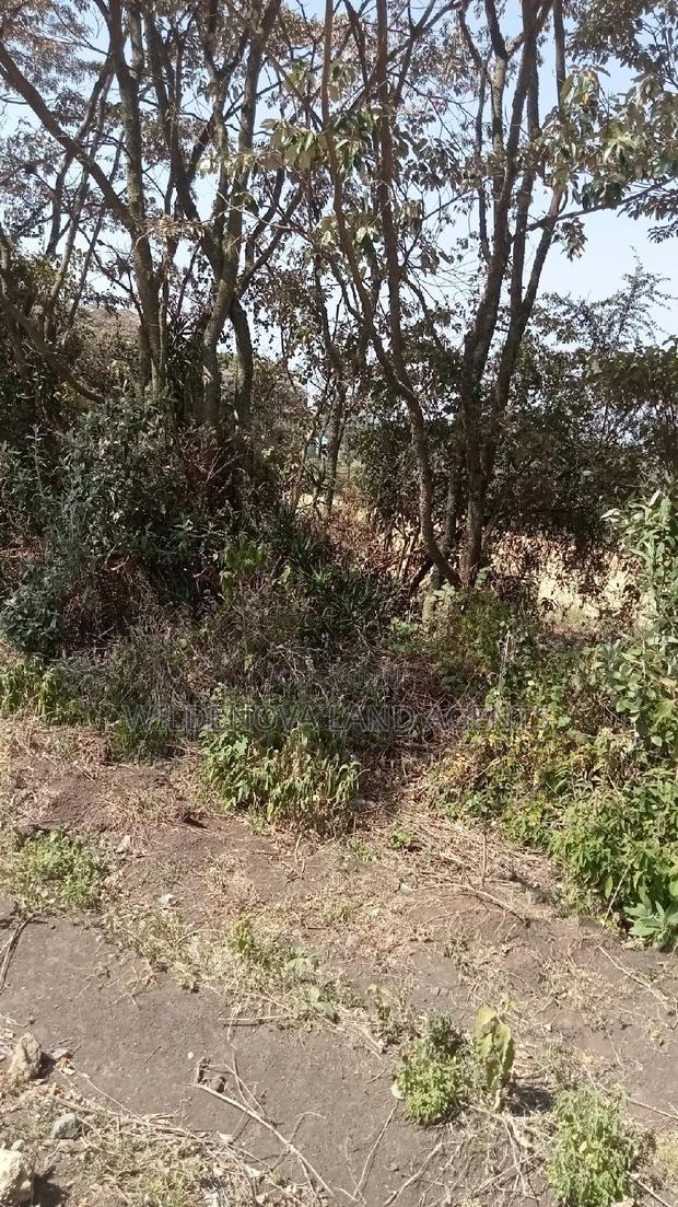 3 Acres of Land on Sale