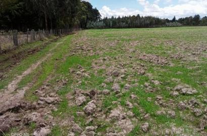 5 Acre on Sale at Kinangop Eginear