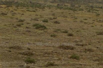 3 Acre on Sale at Longonot Naivasha