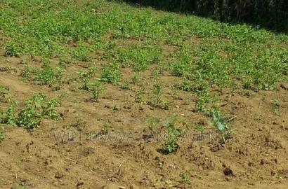 Plot on Sale at Kimende Kiambu