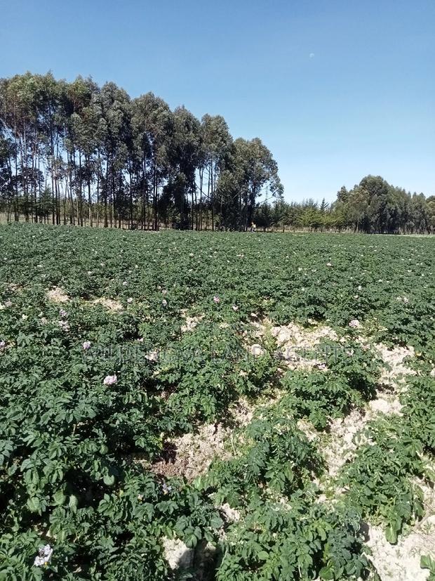 5 Acre on Sale at Kinangop Eginear