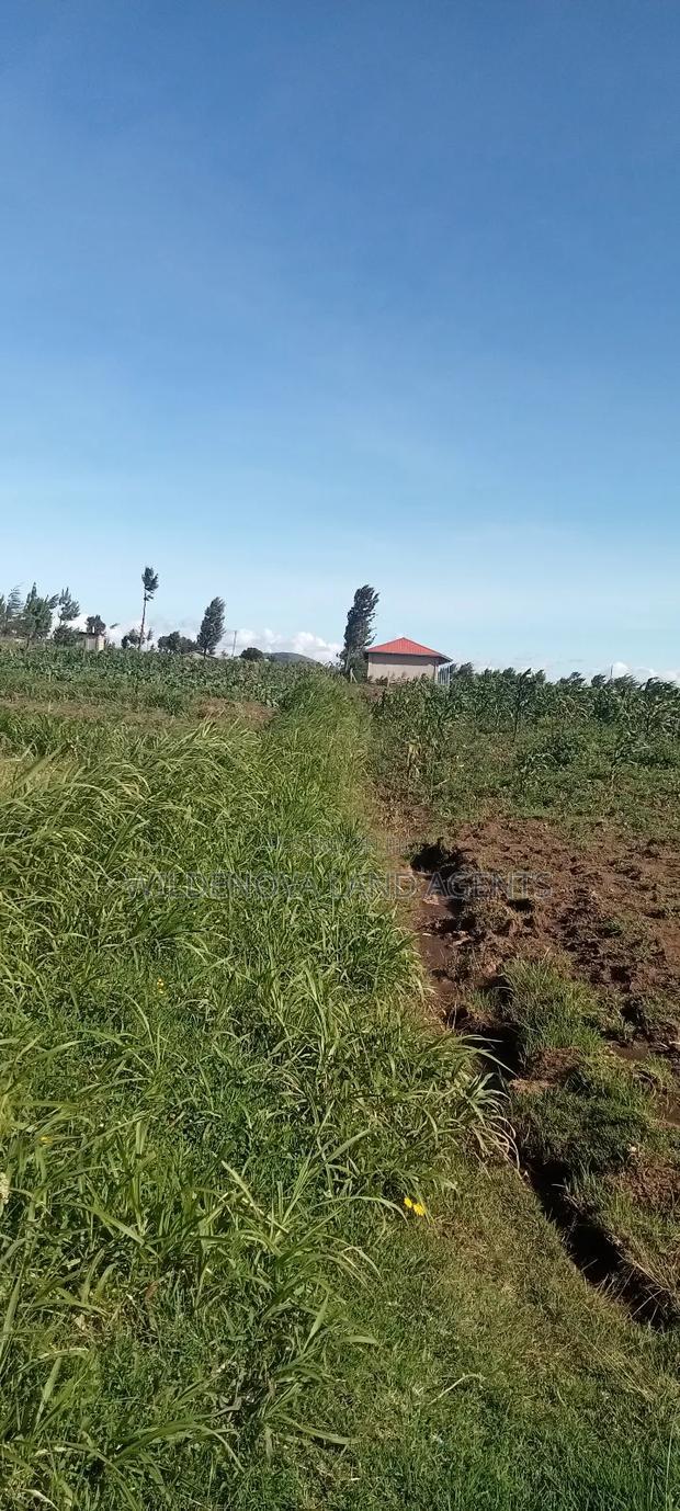 Land on Ihindu Naiva