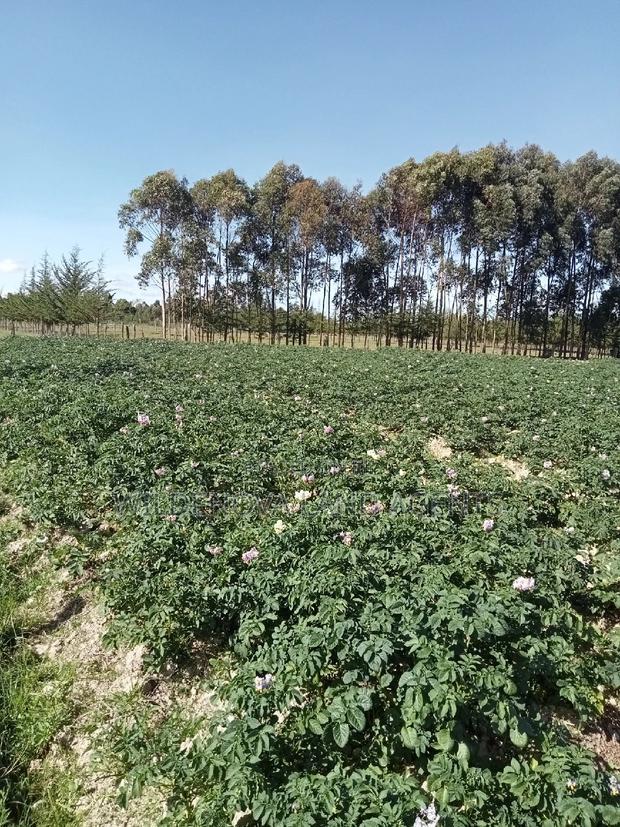 5 Acre on Sale at Kinangop Eginear