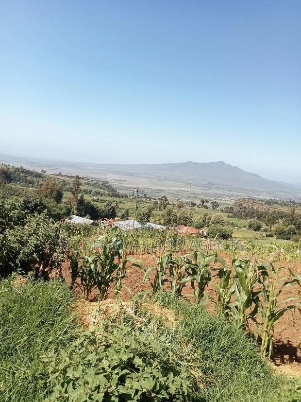 Land on Sale at Viewpoint Naivasha