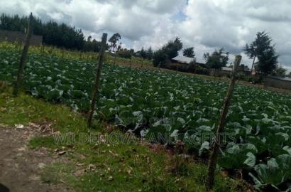 1/4 Acre of Land on Sale at Mtonyora Kinangop