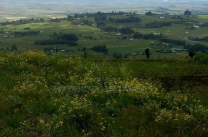 1/2acre on Sale at View Point Naivasha