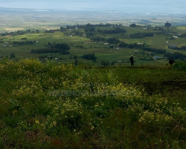 1/2acre on Sale at View Point Naivasha