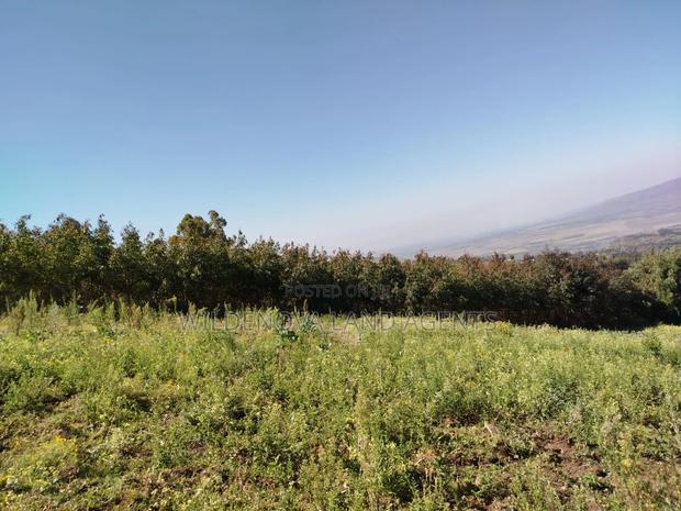 Land on Sale at Flyover Viewpoint Naivasha