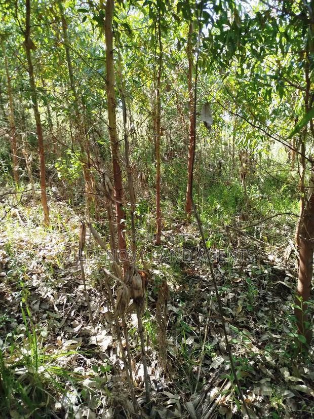Land on Sale at Flyover Viewpoint Naivasha