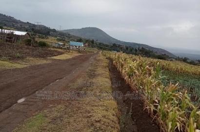1/2 Acre Land on Sale at Ihindu Naivasha