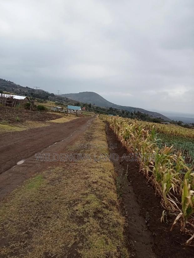 1/2 Acre Land on Sale at Ihindu Naivasha