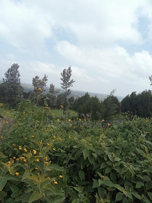 Land on Sale at Nyakairu Naivasha