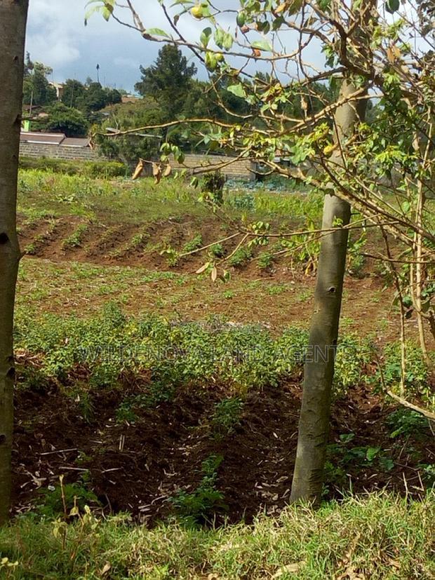 100*100 Plot on Sale at Kamirithu Limuru