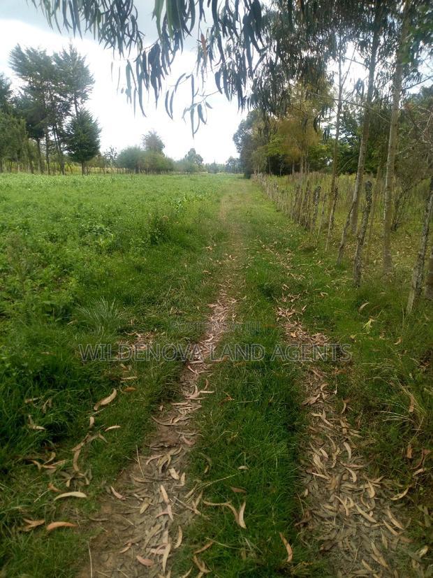 Land On Sale At Mwendandu Kinangop