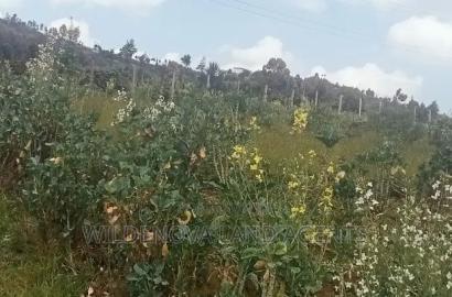 Land on Sale at View Point Flyover Nakuru County