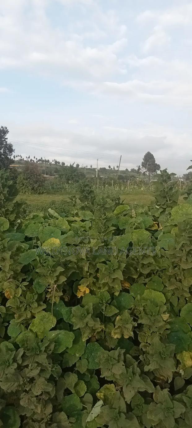 Land on Sale at Flyover Kinangop