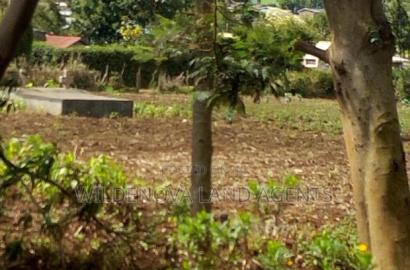 100*100 Plot on Sale at Kamirithu Limuru