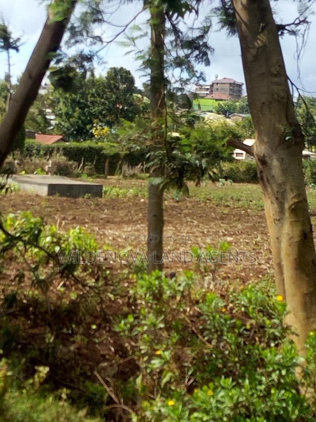 100*100 Plot on Sale at Kamirithu Limuru