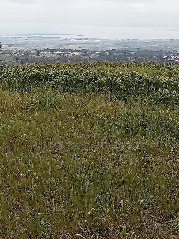 2 Acre of Land on Sale at Kenyatta Road Kinangop