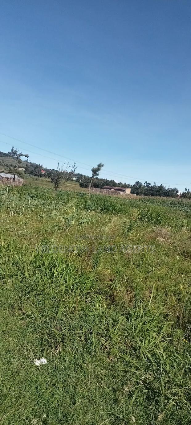 Land on Ihindu Naiva