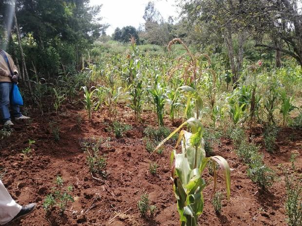 Land on Sale at Limuru Kinyogori Kiambu