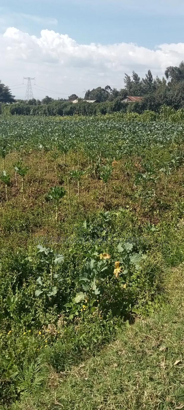 Land on Sale at Kinungi Naivasha