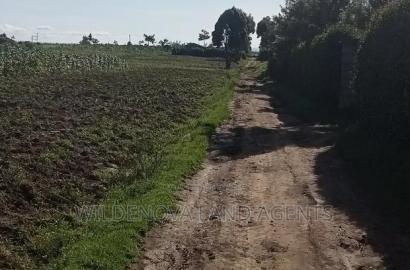 Land on Ihindu Naiva