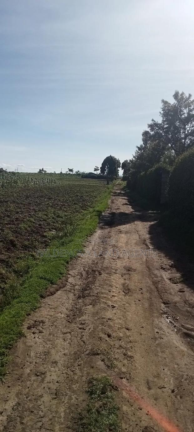 Land on Ihindu Naiva