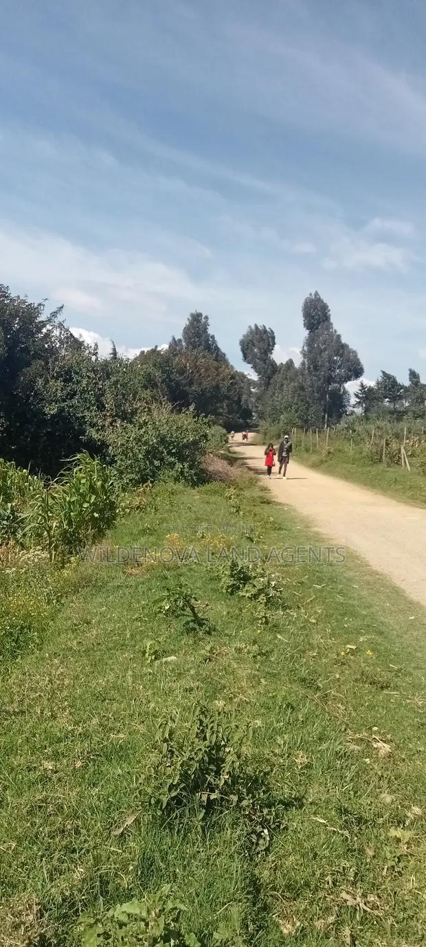 Land on Sale at Kinungi Naivasha