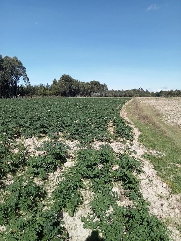 5 Acre on Sale at Kinangop Eginear