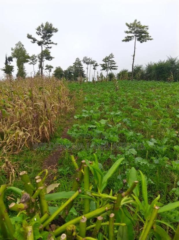 1 Acre + of Land on Sale at Flyover Magumu Kinangop