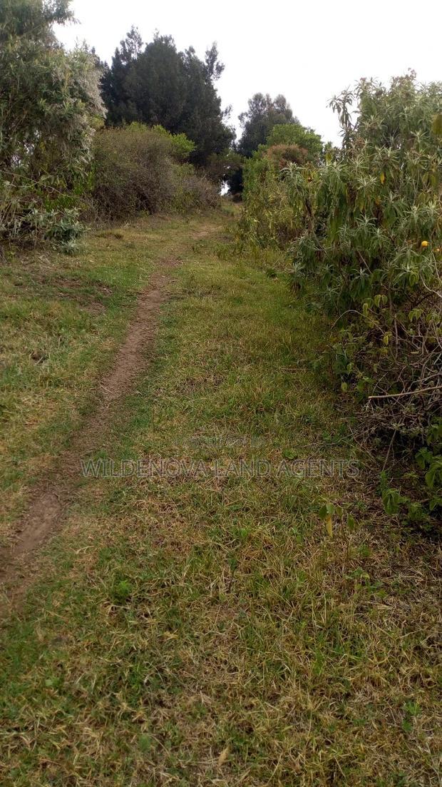 1/2 Acre on Sale at Kenton Naivasha