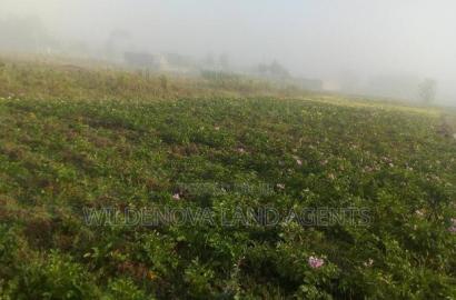 Plote on Sale at Mtonyora Kinangop