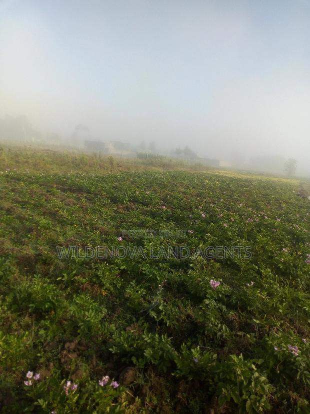 Plote on Sale at Mtonyora Kinangop