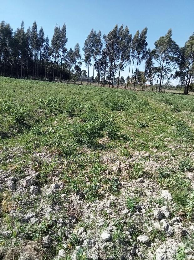 5 Acre on Sale at Kinangop Eginear
