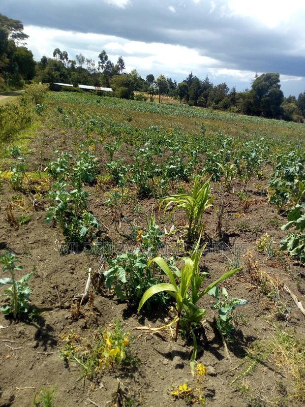 2 Acre on Sale at Naivasha Nyakairu