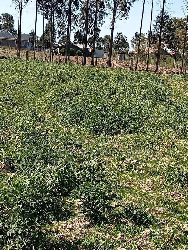 5 Acre on Sale at Kinangop Eginear