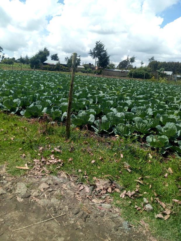 1/4 Acre of Land on Sale at Mtonyora Kinangop