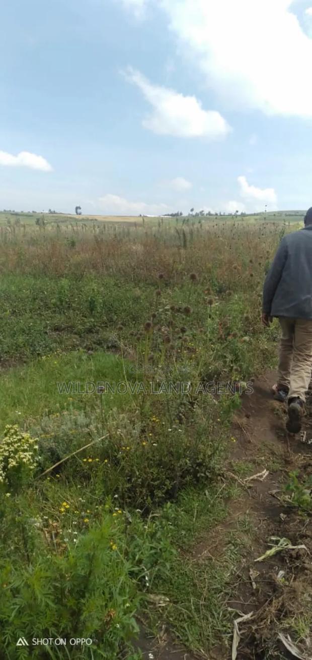 5 Acres on Sale at Kiabogo Longonot Naivasha