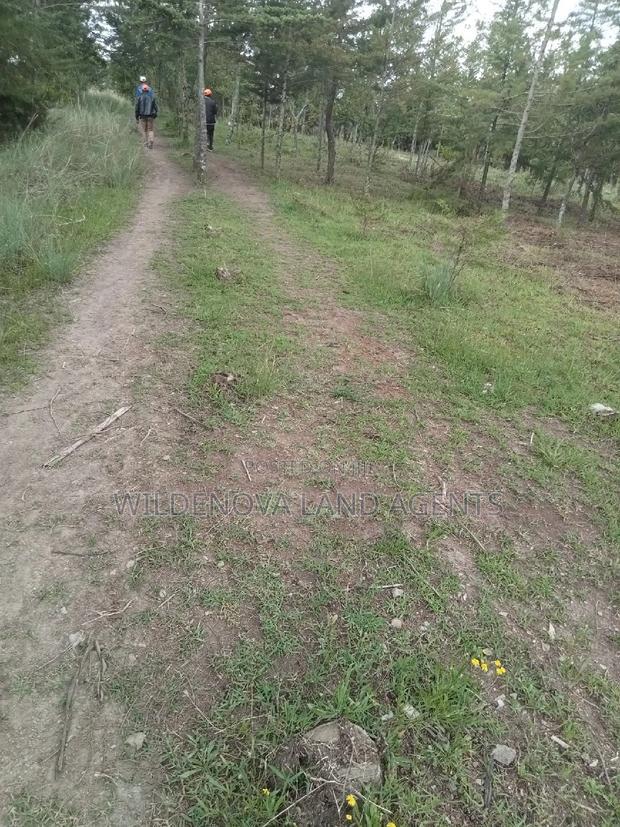 5 Acres on Sale at Kinangop Murungaru